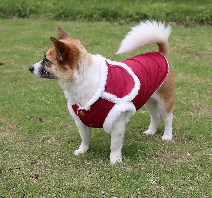 JoyDaog Shawl Design Fleece Lined Warm Dog Jacket for Puppy Winter Cold Weather,Soft Windproof Small Dog Coat,Red S