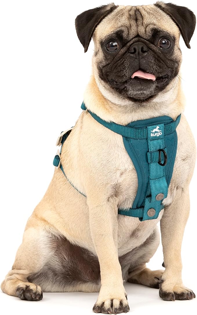 Kurgo Enhanced Strength Tru-Fit Dog Car Harness - Pet Travel Safety Harness - Crash Test Certified Fit - Five Point Adjustment - Secure Buckle - Padded Chest - Ink Blue - Small