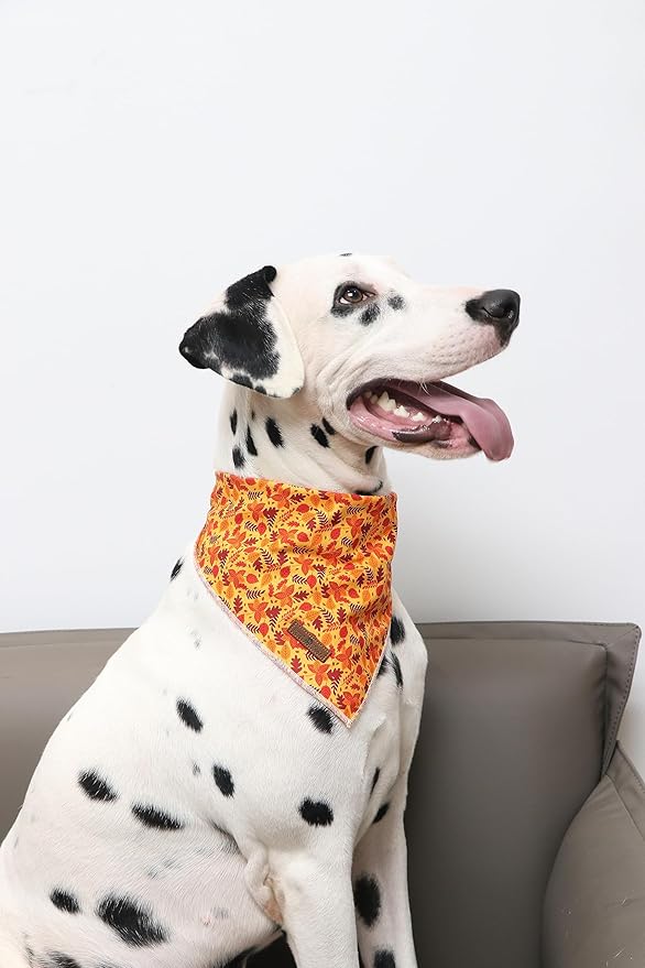 Lionet Paws Fall Dog Bandana for Small Medium Large Dogs, Cat Dog Kerchief Washable Dog Triangle Bibs Scarf for Girl or Boy