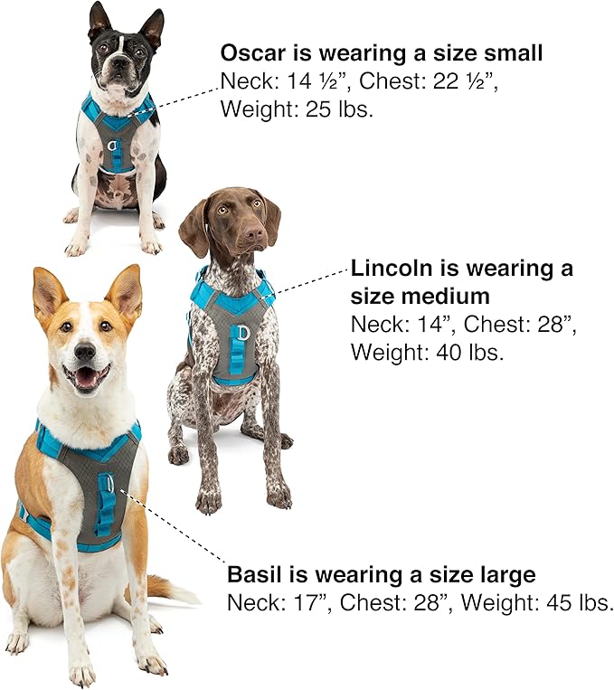 Kurgo Journey Air Dog Harness - Secure Fit for Active Dogs - Padded Chest - Lightweight Ripstop Fabric - Breathable Mesh - Reflective Trim - Back Assist Handle - Orange - Medium