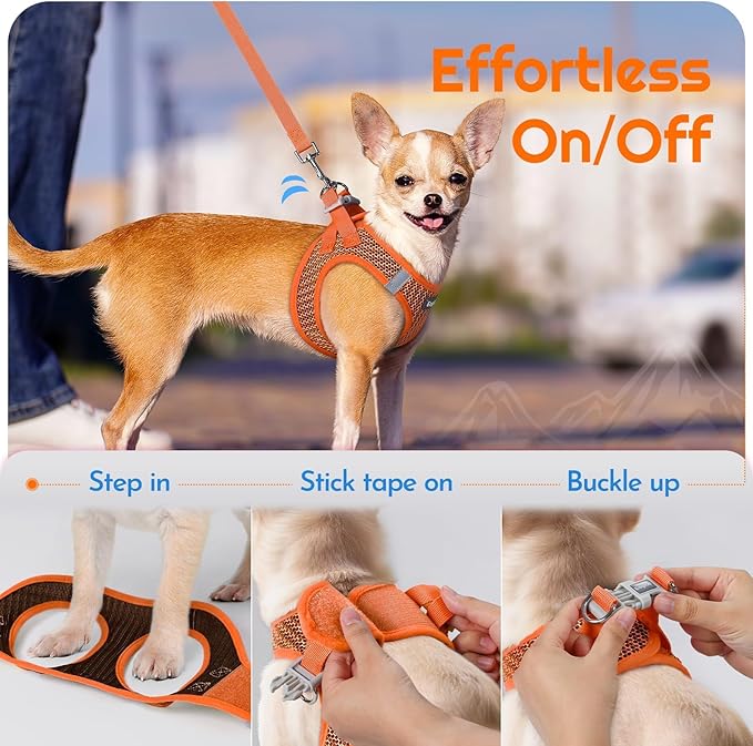 Eagloo Small Dog Harness and Leash Set, Step in Puppy Vest with Breathable Soft Mesh, Walking Reflective Pet Harness for Small Dogs, Orange, L