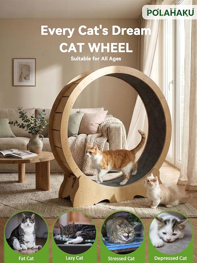 Cat Exercise Wheel, 48 Inch Diameter Cat Treadmill for Indoor Cats, Cats Running Wheel with Updated Enhanced Base and Carpeted Runway for Cat's Longer Life and Fitness, Natural