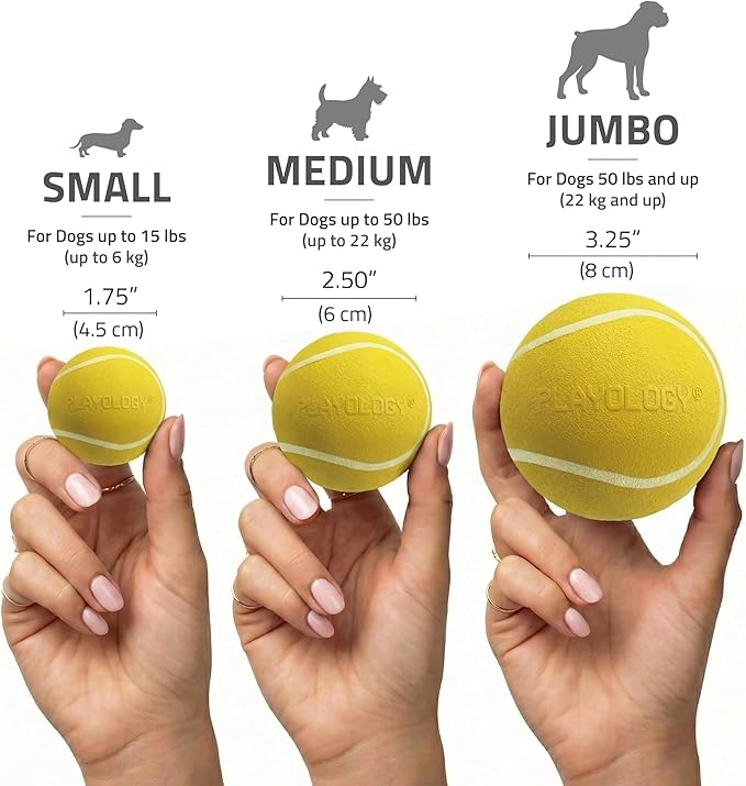 Playology Dog Toys | Squeaky Chew Ball for Dogs | Chicken Scented Medium Dog Ball | Bouncy Floating Chew Toys for Fetch