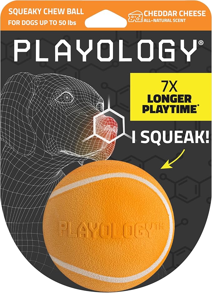 Playology Dog Toys | Squeaky Chew Ball for Dogs| Cheddar Cheese Scented Medium Dog Ball | Bouncy Floating Dog Balls