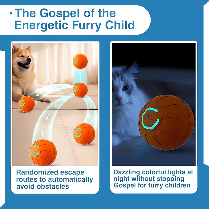 Interactive Dog Ball Toy for Small Dogs-Automatic Self-Moving Pet Toy,USB Rechargeable, Durable & Safe for Mental Stimulation (Blue)