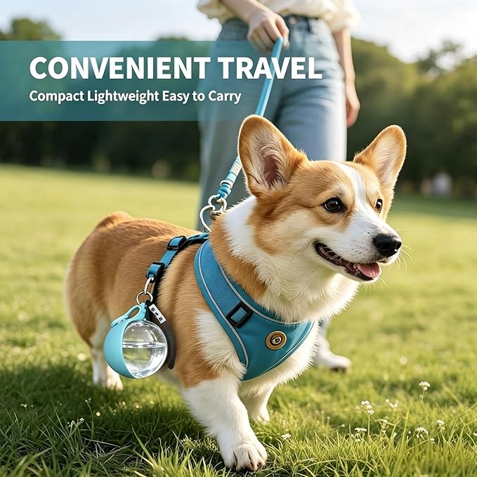 Portable Dog Water Bottle, 10 fl oz Food-Grade PET Plastic Bottle & Silicone Bowl, Leak-Proof & Compact Puppy Travel Water Bottle with Lanyard, Water Dispenser for Walking Hiking, Unprinted, Blue