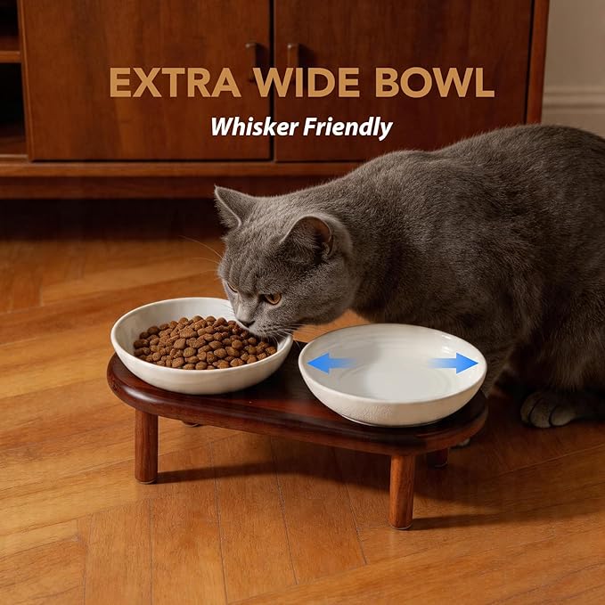 Havniva Elevated Cat Bowls Raised Ceramic Cat Bowl, 5.9” Wide Opening Cat Food Bowl Whisker Friendly Cat Dish Anti-Slip with Wood Stand, Shallow Pet Food & Water Bowl for Indoor Cats
