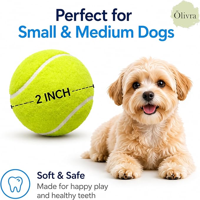 Automatic Dog Ball Launcher, Dog Ball Thrower Machine with 10-30 Ft 3 Launching Distance, Interactive Toys for Small Dogs Indoor & Outdoor with 6 Mini Tennis Balls (2 inch), Rechargeable, Blue