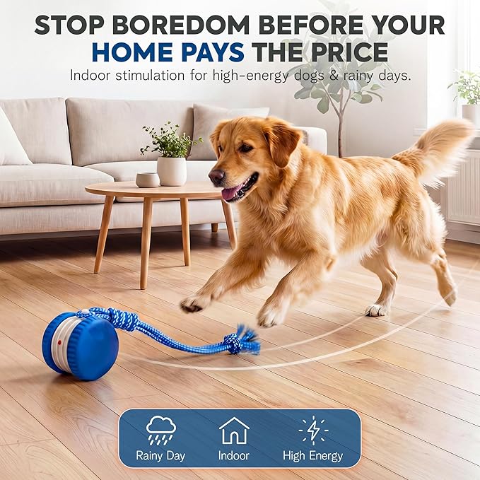 (2 Pack) Interactive Dog Toys for Small Dogs — Boredom Relief & Indoor Enrichment, Automatic Rolling Ball with Rope, Motion Activated Self Moving Dog Toy (Blue + Orange)