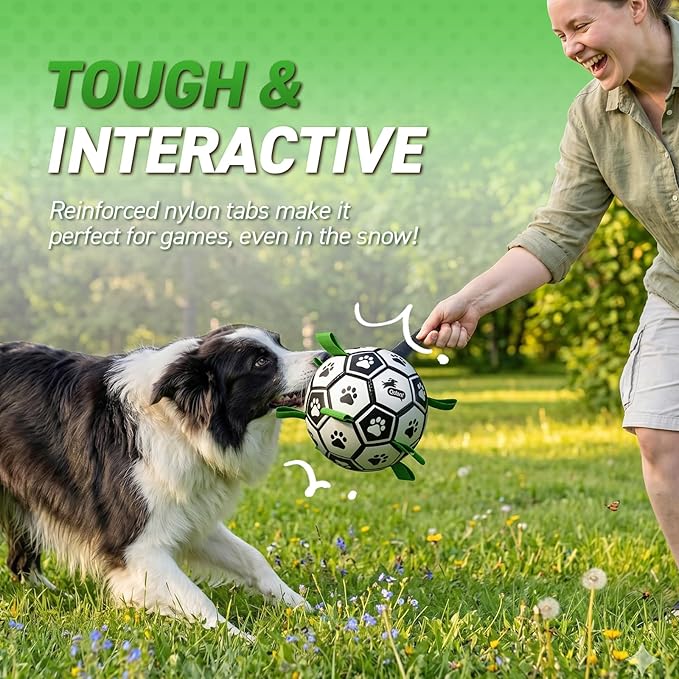 QDAN Dog Toys for Small Medium Puppy, Soccer Ball for Dogs with Straps, Dog Herding Balls, Birthday Toy Gifts, (Black Greem, 6 Inch)