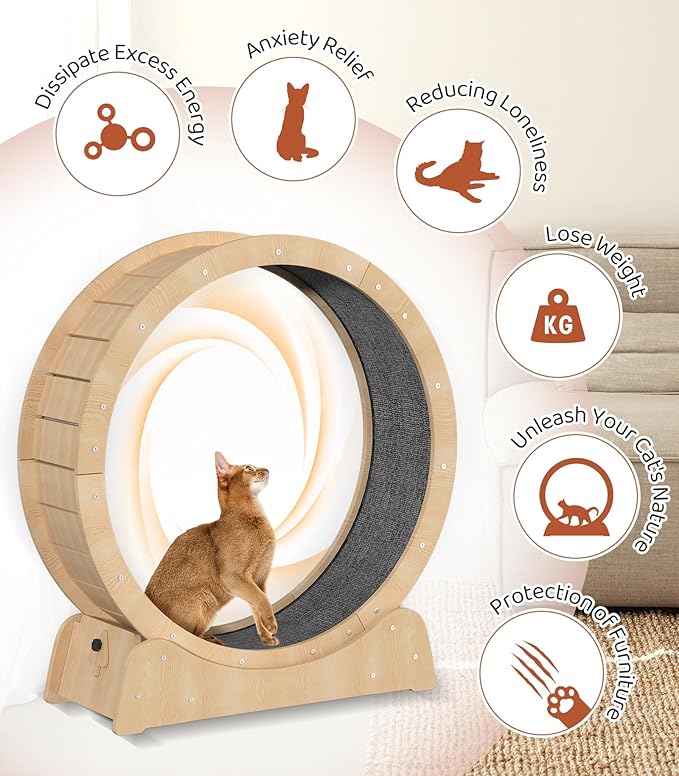 39.4" Wooden Cat Running Wheel - Low Noise Exercise Wheel for Large Indoor Cats