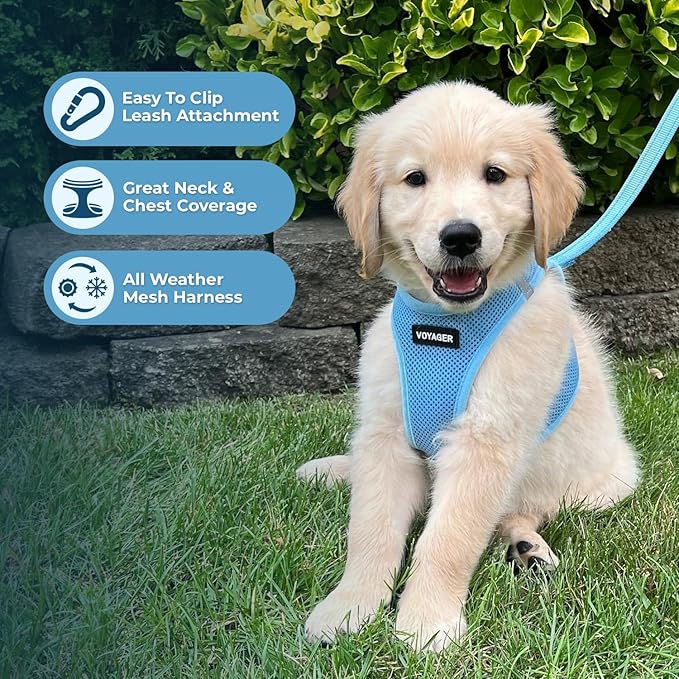 Best Pet Supplies Voyager Step-in Air All Weather Mesh Harness and Reflective Dog 5ft Leash Combo with Neoprene Handle, for Small, Medium and Large Breed Puppies - Set (Baby Blue), X-Small