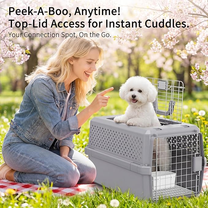 RIZZARI Portable Cat & Dog Carrier for Medium Pets:Hard-Sided Pet Travel Carrier with Ventilation - Secure Metal Door and Carry Handle for Travel - Vet Visits & Car Rides (Gray, Medium)