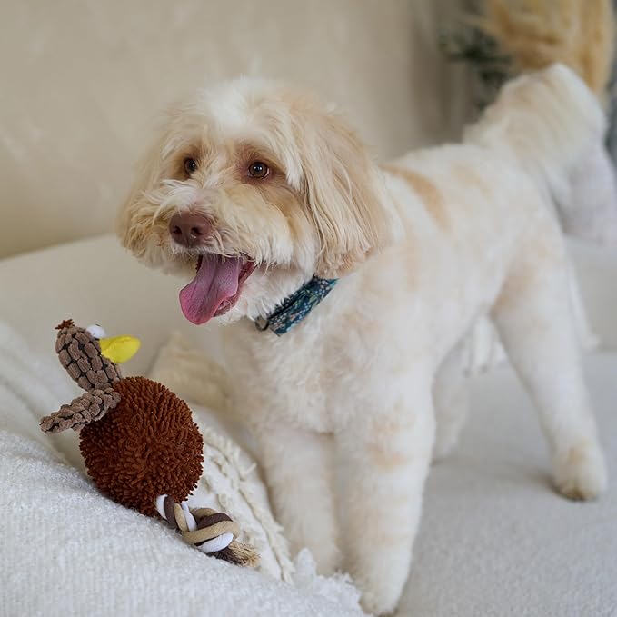 SPOT Gigglers Chicken Dog Toy with Giggle Sound, Textured Plush Tug Toy with Rope Legs, 12" for Small and Medium Dog Breeds