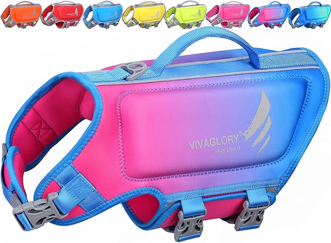 VIVAGLORY High Buoyancy Dog Life Vest, Swimming Vest with Handle, Dog Life Jacket for Swimming & Boating, Buoyancy for Puppy Doggy, M, Pink Blue