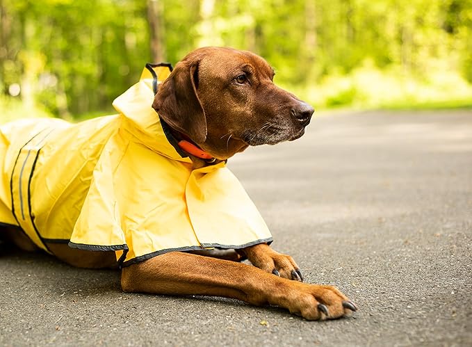 Fashion Pet Rainy Days Slicker Yellow Raincoat, X-Small (560YXS) (Pack of 2)