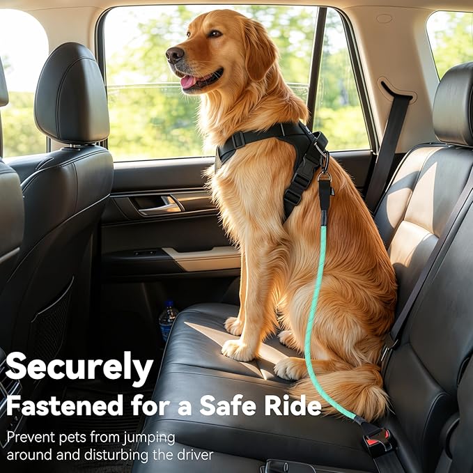 Dog Seat Belt for Car, Universal Dog Car Seatbelt with Buckle and Hook Latch, 360° Rotatable Lockable Clasp, Reflective Safety Pet Harness for Vehicle, Pet Safety Restraint, Cyan