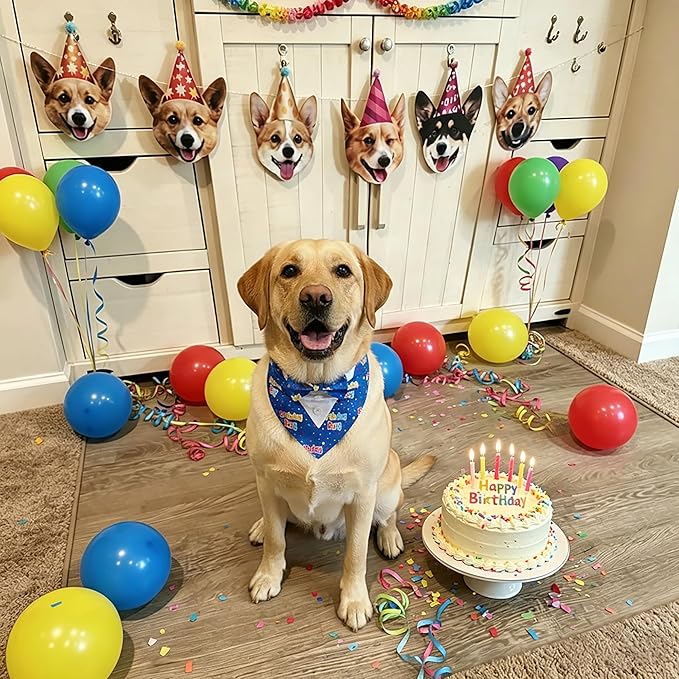 ADOGGYGO Birthday Boy Dog Tuxedo Bandana, Blue Collar with Bow Tie, Adjustable Formal Birthday Costume for Medium Dogs (M)