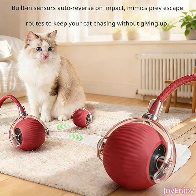 Interactive Cat Toy Ball Automatic Rolling Smart Cat Ball with Tail Motion Activated USB Rechargeable 3 Speed Modes Bird Chirping Durable Silicone Pet Toy for Indoor Cats Multiple Colors (Red)
