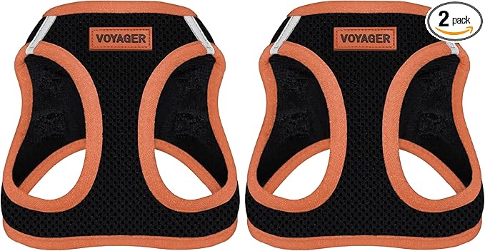 Voyager Step-in Air Dog Harness - All Weather Mesh Step in Vest Harness for Small and Medium Dogs by Best Pet Supplies - Orange Trim, M (Pack of 2)