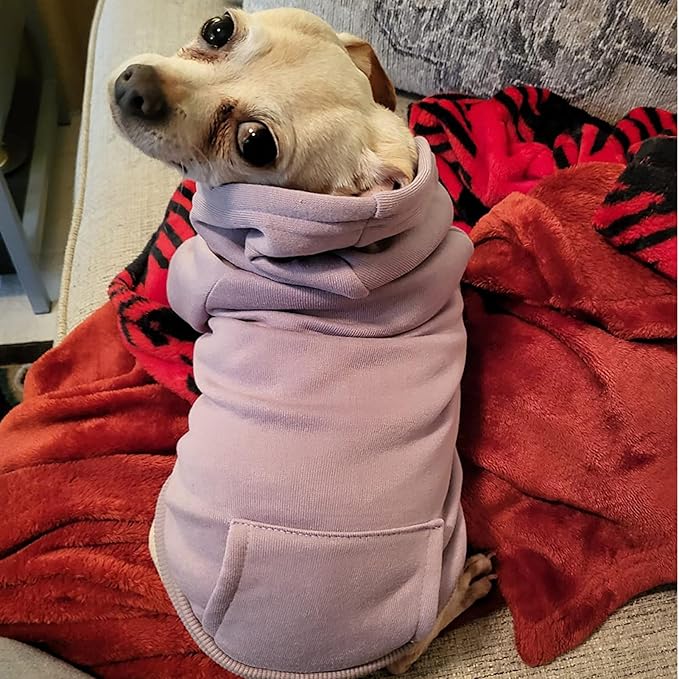 Jecikelon Soft Dog Hoodies for Small Dogs, Fleece Puppy Sweatshirt with Pockets, Warm Winter Cold Weather Coats for Pet Cat, Cute Clothes Puppy Costume (Purple, X-Small)
