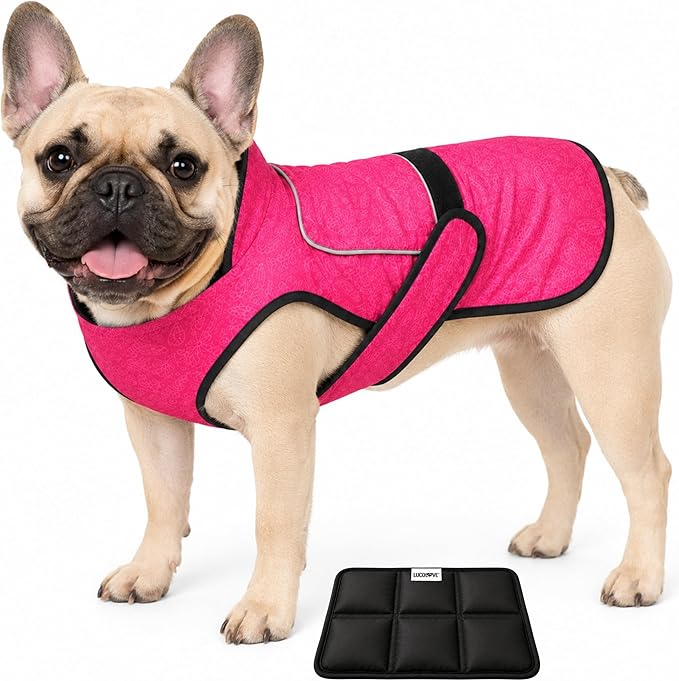 Dog Cooling Vest with Ice Pack – 2-Layer Evaporative Cooling Jacket with High Collar, UV Protection & Size-Matched Ice Pack – Cooling Vest for Dogs for Hot Weather (Pink Floral, Medium)