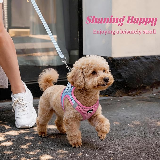 YIMEIS Dog Harness and Leash Set, No Pull Soft Mesh Pet Harness, Reflective Adjustable Puppy Vest for Small Medium Large Dogs, Cats (Pinkblue, X-Small (Pack of 1)