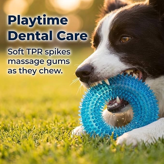 ADUCK Dog Squeaky Chew Toys for Aggressive Chewers, Small Medium Large Dogs Teeth Cleaning Soft Natural Rubber Float Toy for Indoor Outdoor Water Pool, Donut Ring Design 4.92 inch, Pack of 4