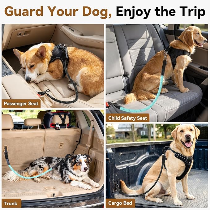 Dog Seat Belt for Car, Universal Dog Car Seatbelt with Buckle and Hook Latch, 360° Rotatable Lockable Clasp, Reflective Safety Pet Harness for Vehicle, Pet Safety Restraint, Black