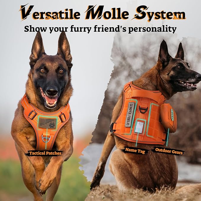 rabbitgoo Tactical Dog Harness for Large Dogs No Pull Adjustable Military Vest with Handle MOLLE Reflective Heavy Duty Dog Vest for Walking Training Hunting Outdoor Working Medium Size Dog Orange L