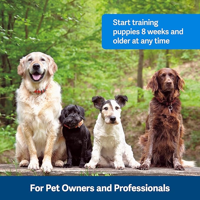 PetSafe Clik-R Trainer, Blues & Purples, Model:CLKR-RTL