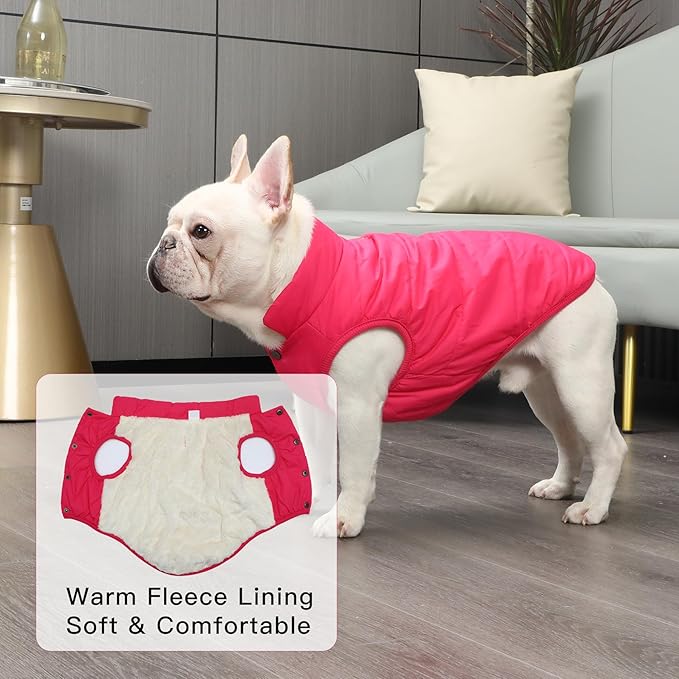JoyDaog 2 Layers Fleece Lined Warm Dog Jacket for Puppy Winter Cold Weather,Soft Windproof Small Dog Coat,Pink M