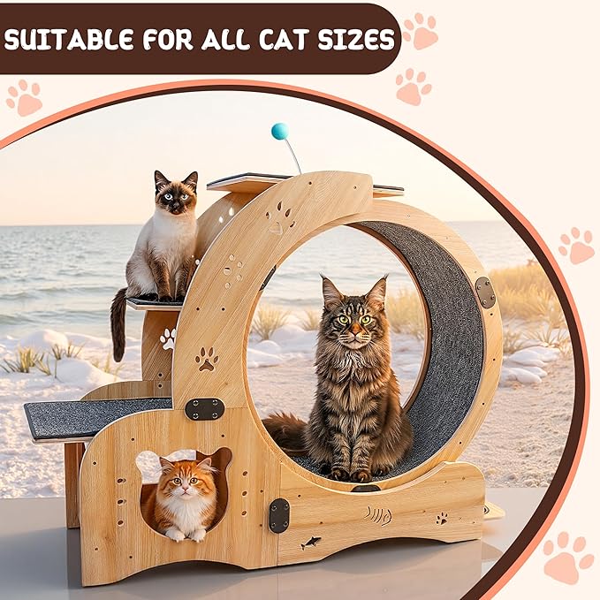55-inch cat Wheel, 6-in-1 cat Wheels for Indoor Cats, Scratching Board, Detachable mat, Climbing Frame, nest & Toys, Multi-Functional Indoor Pet Activity Center/Walking/Training