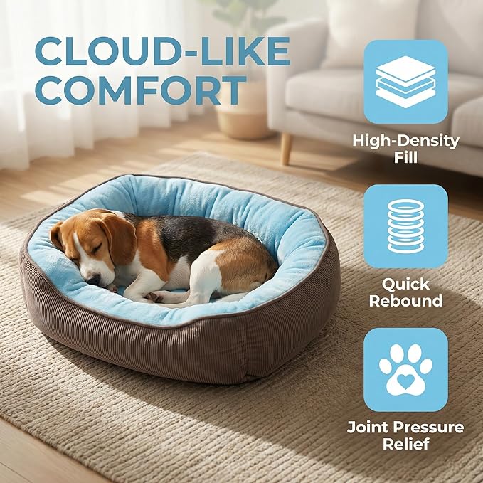 Calming Dog Bed for Medium to Large Dogs 30"x20" - Orthopedic Washable Pet Bed with Anti-Slip Bottom, Indoor Soft Cat Bed with Removable Cover (Sky Blue)