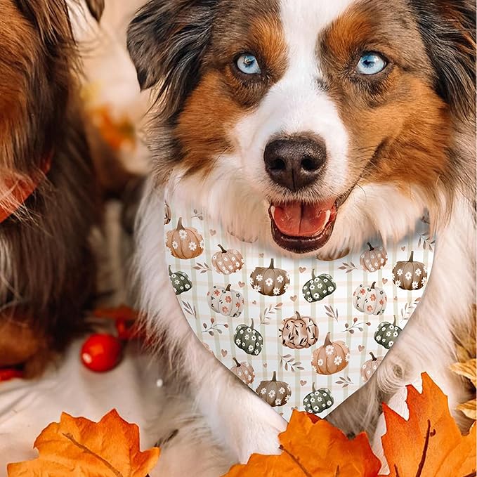 Fall Dog Bandana Reversible 2 Pack, Cute Autumn Pumpkin Leaves Fall Pet Bandanas Set Adjustable Triangle Holiday Scarves for Medium Large Extra Large Boy Girl Dogs