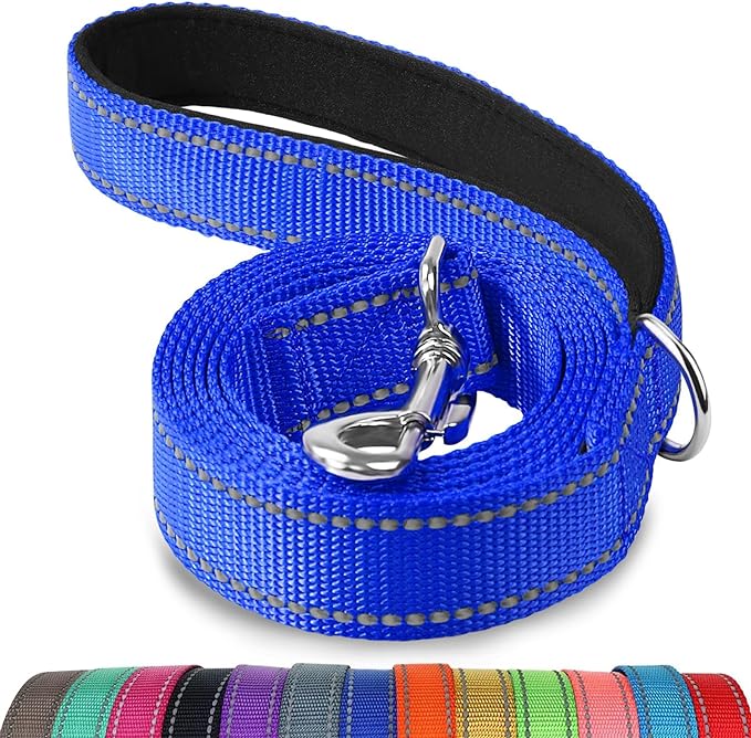 Joytale Dog Leash, 5 FT Double-Sided Reflective, Padded Handle Nylon Heavy Duty Leashes for Medium & Large Dogs Walking, Navy Blue
