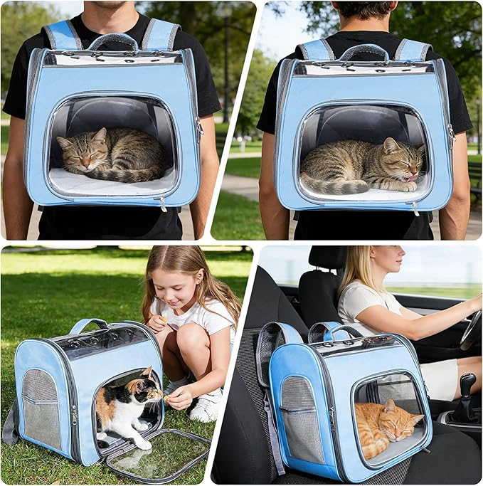 Cat Soft-Sided Carrier Backpack, Breathable Mesh Foldable Pet Travel Carrier with Reinforced Support, Portable Puppy Carrying for Kitty Up to 15lbs (Blue)