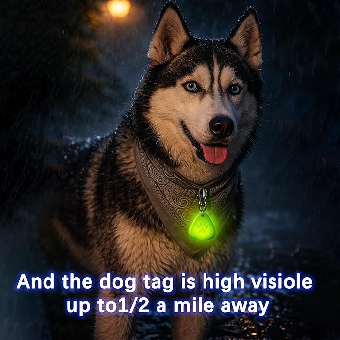 QUELIEN LED Dog Collar Light, Clip-On Dog Safety Light for Night Walking, High Visibility Light Up Dog Collar Accessory for Summer Camping & Hiking, Lightweight for All Pets, Blue