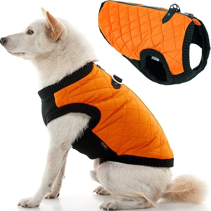 Gooby Fashion Vest Dog Jacket - Orange, X-Large - Warm Zip Up Bomber Vest with Dual D Ring Leash - Winter Water Resistant Small Dog Sweater