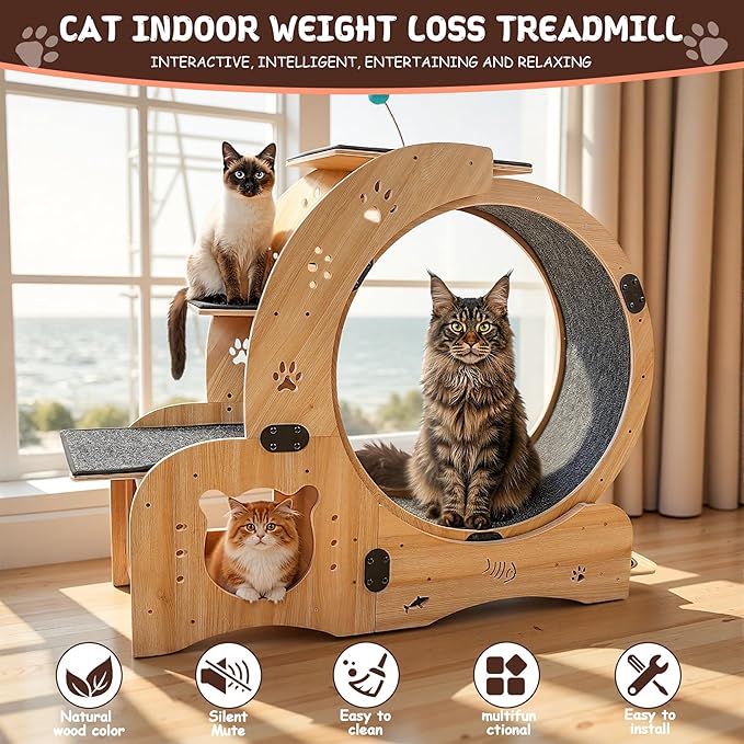 55-inch cat Wheel, 6-in-1 cat Wheels for Indoor Cats, Scratching Board, Detachable mat, Climbing Frame, nest & Toys, Multi-Functional Indoor Pet Activity Center/Walking/Training