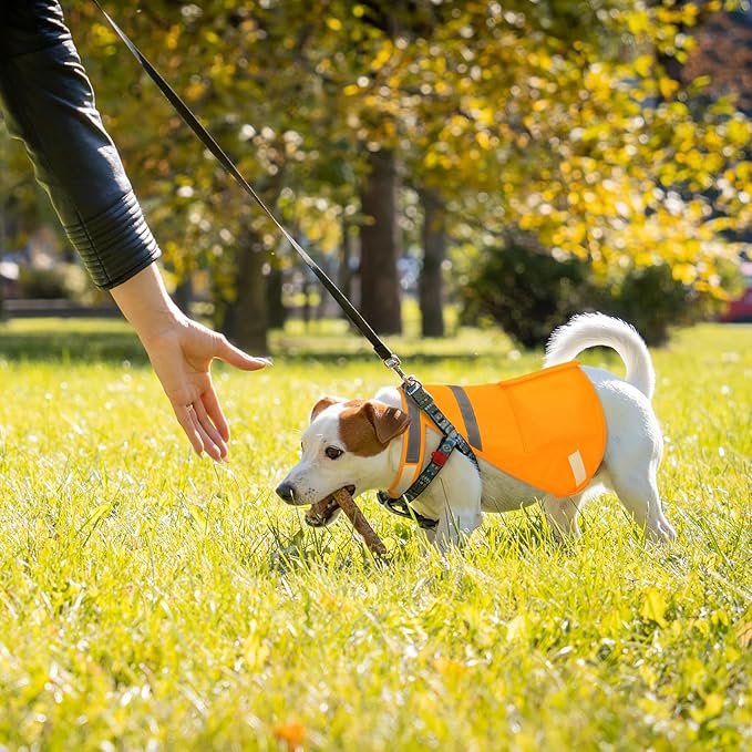 Aliceset 2 Pcs Dog Cooling Vest with 4 Recyclable Ice Pack Summer Outdoor Dog Cooling Harness Shirt Adjustable Pet Cooler(Orange,Medium)