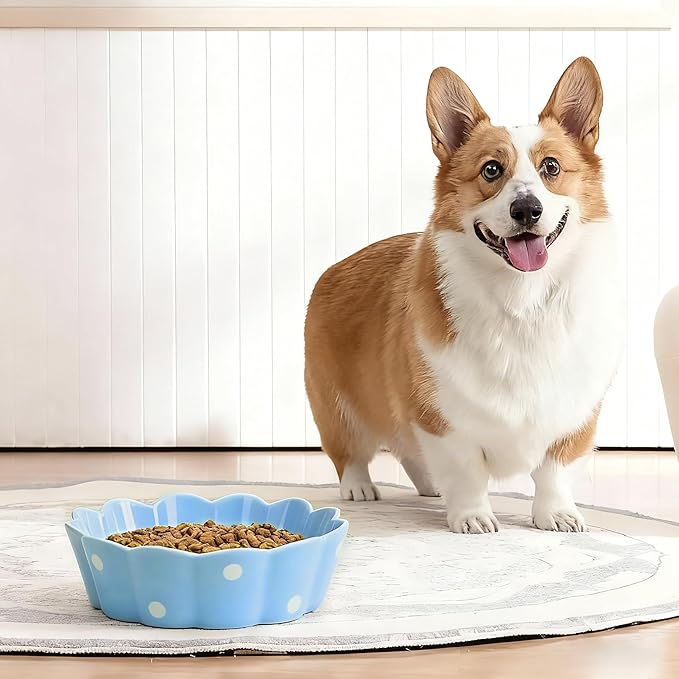 Ceramic Cat Bowl, Scalloped Edge with White Polka Dots – Pet Feeding Dish with Anti-Slip Base for Cats and Small Dogs, Blue