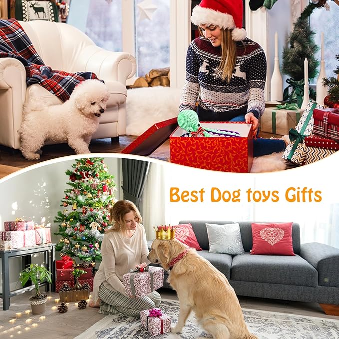 Fuufome Squeaky Plush Dog Toys, Soft Fabric Toys for Puppy, Small and Medium Dogs, Interactive Daily Companionship Training Reward Birthday Gift