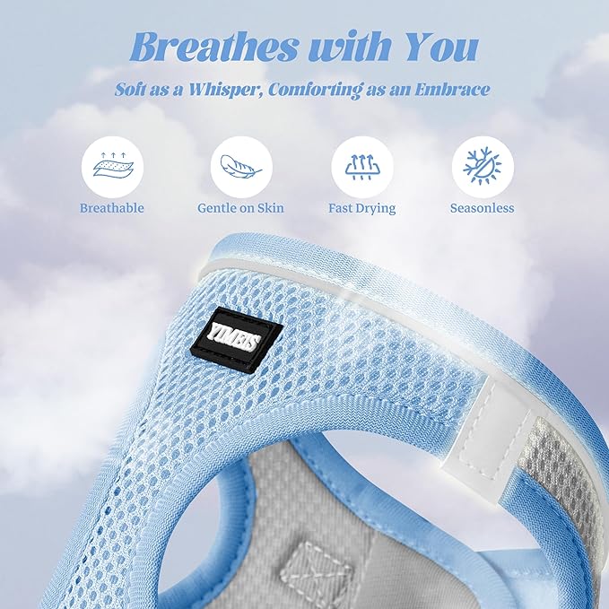 YIMEIS Dog Harness and Leash Set, No Pull Soft Mesh Pet Harness, Reflective Adjustable Puppy Vest for Small Medium Large Dogs, Cats (Greyblue, Small (Pack of 1))