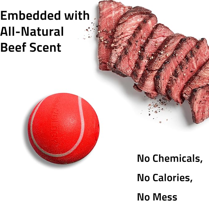 Playology Dog Toys | Squeaky Chew Ball for Dogs | Beef Scented Medium Dog Ball | Bouncy Floating Chew Toys for Fetch