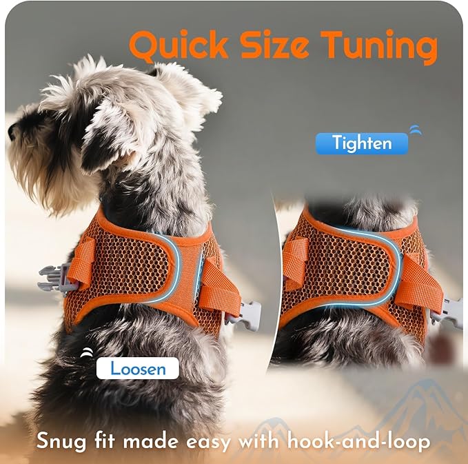 Eagloo Small Dog Harness and Leash Set, Step in Puppy Vest with Breathable Soft Mesh, Walking Reflective Pet Harness for Small Dogs, Orange, XS