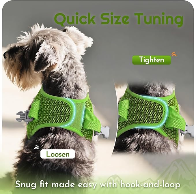 Eagloo Small Dog Harness and Leash Set, Step in Puppy Vest with Breathable Soft Mesh, Walking Reflective Pet Harness for Extra Small Dogs, Green, XXS