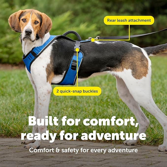 PetSafe EasySport Dog Harness Adjustable, Padded Dog Harness with Control Handle and Reflective Piping Large, Blue