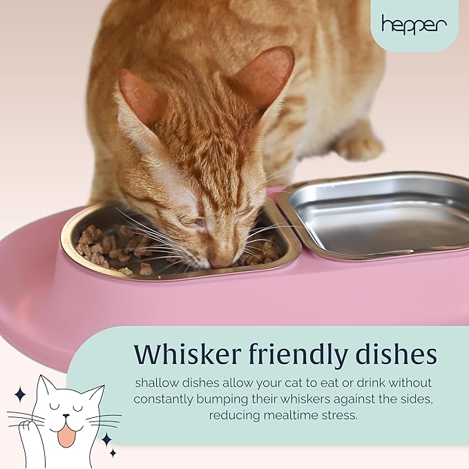 Hepper NomNom - Spill Proof Elevated Cat Bowls for Food and Water - Whisker Relief Bowl + Raised Cat Food Bowls: a Safe Dish for Messy Cats - Stainless Steel Bowl Station (Pink)