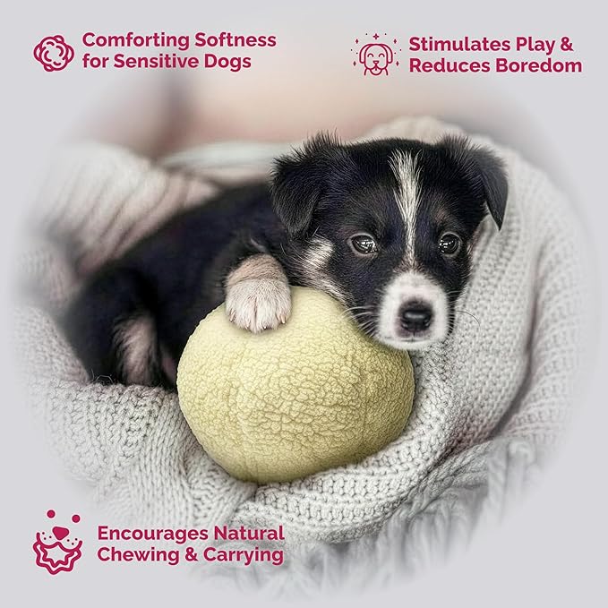 PetLou Dog Fleece Ball Chew Toy, 8"